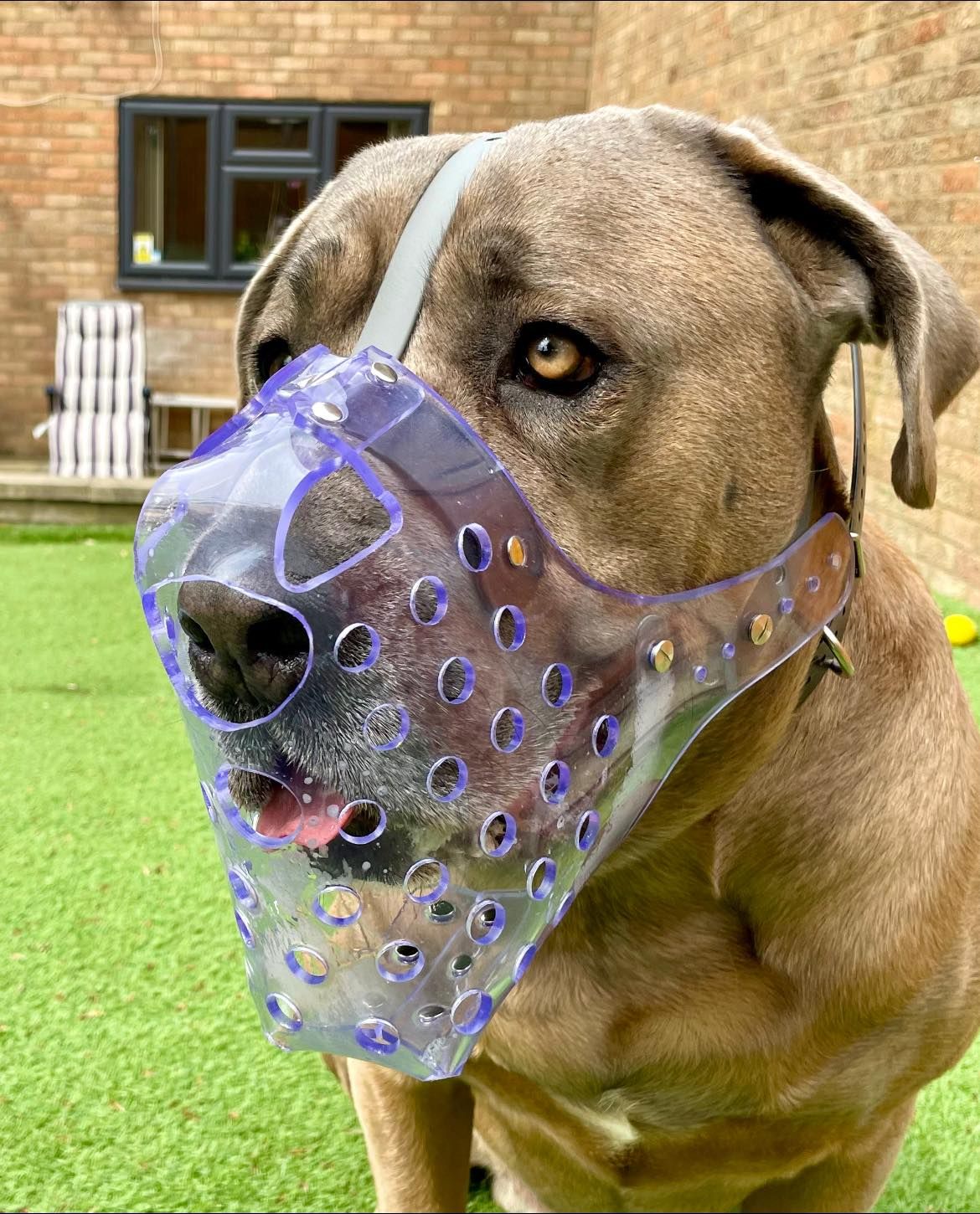 Custom dog clearance muzzle